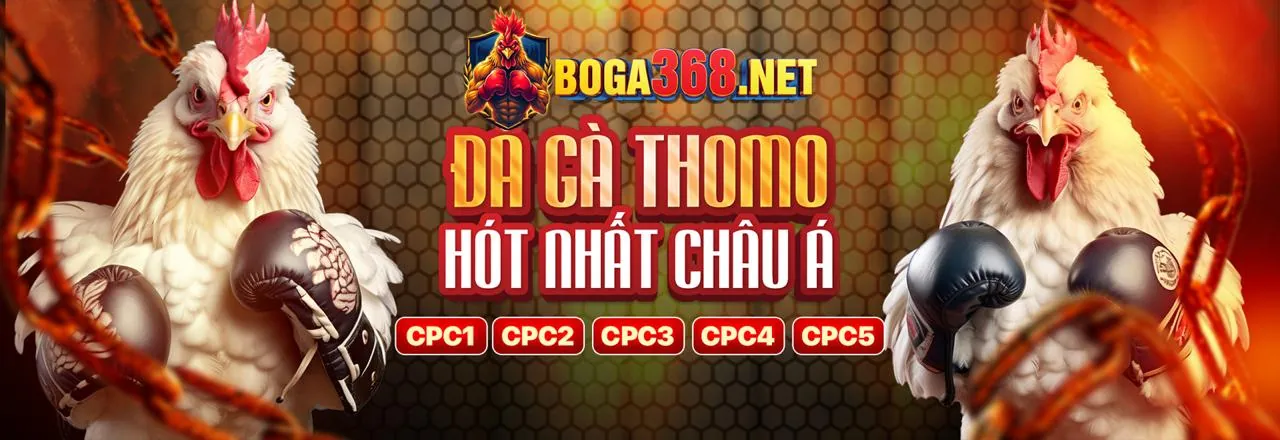 Sơ đồ quy trình xử lý dữ liệu an toàn của Đá Gà Thomo 88